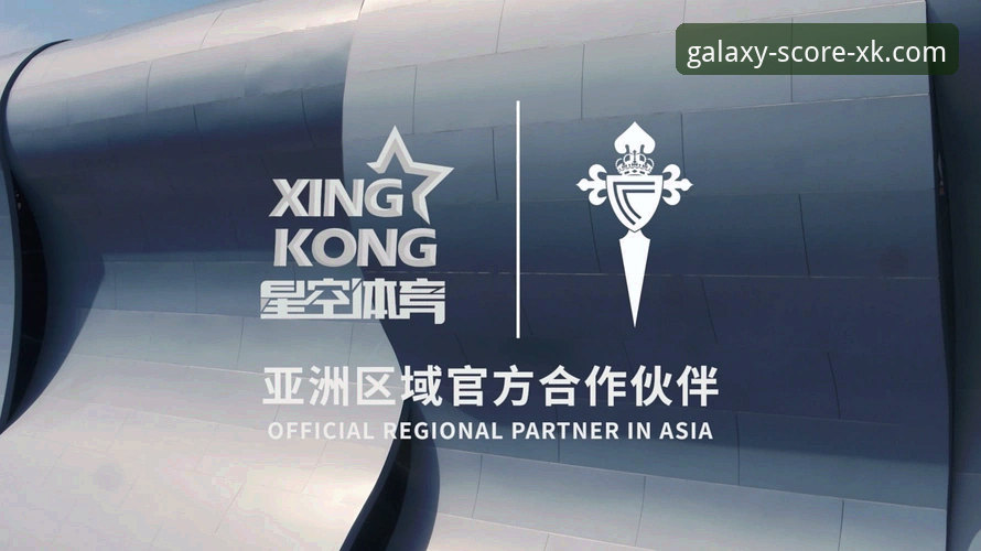 星空体育平台深度解析：从实时比分到用户体验的全方位剖析